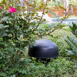 Epizóda Krajinný pohreb Subwoofer