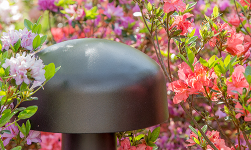 Epizóda Terrain DVC Subwoofer
