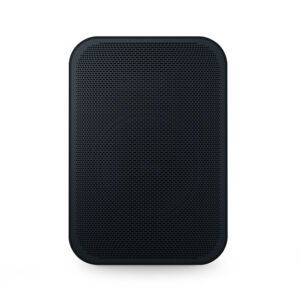 Bluesound-PULSE Flex 2i Schwarz