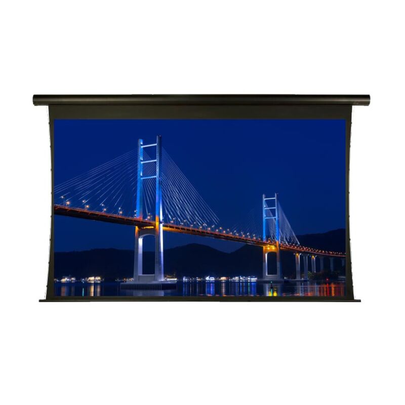 Elite Screens Saker Tab-Tension MaxWhite schwarz