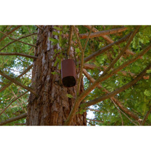 James Loudspeaker AT62-4
