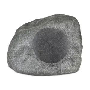 PRO-10SW-RK (Subwoofer)