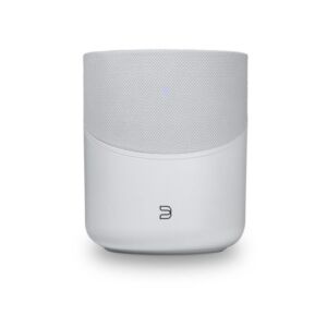 Bluesound PULSE M