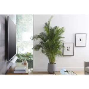 Wandhalter für Sonos Arc / Arc Ultra, ausziehbar – Obrázok 11