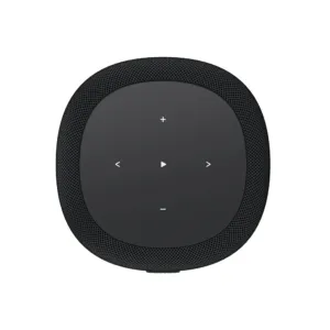 WiiM Sound Lite