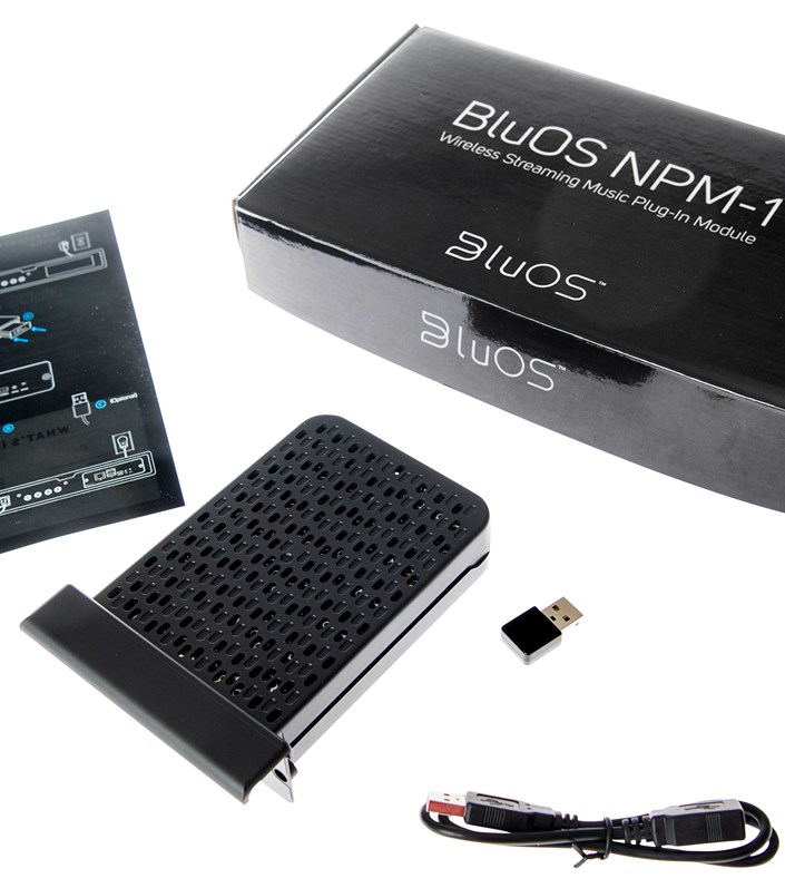 BluOS™ Modul NPM-2i