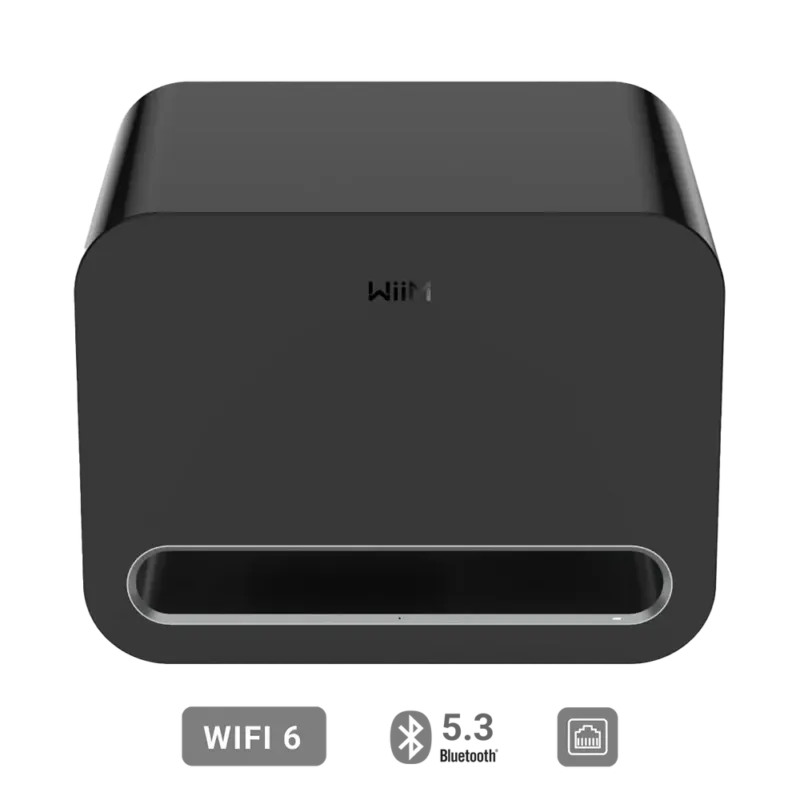 WiiM Audio Sub Pro