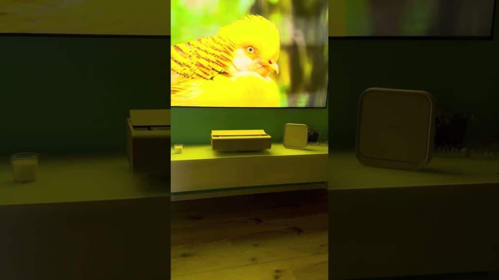 Laser TV, Projektoren & Sound im echten Vergleich – vor Ort erleben